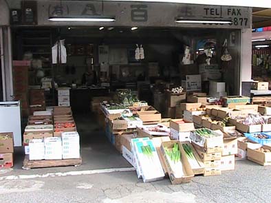 ��؁E�ʕ��E�t���[�c�Ȃ甪�S�^�ɂ��܂����I